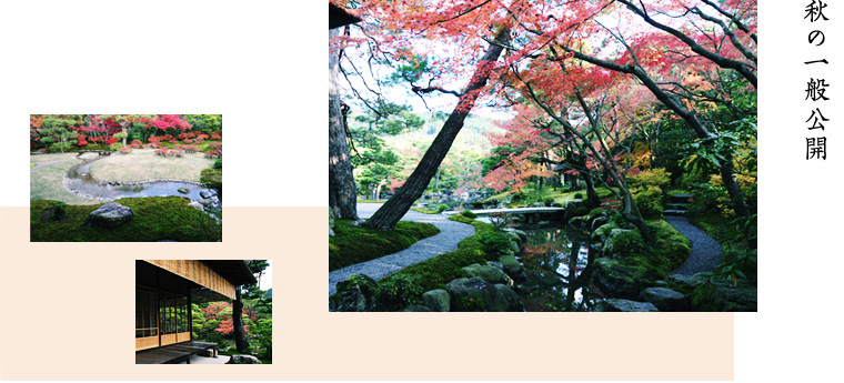 open_autumn