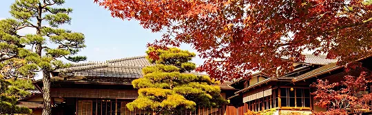 秋の一般公開