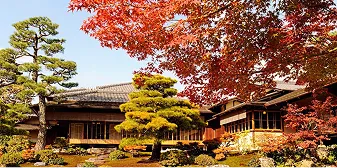 秋の一般公開