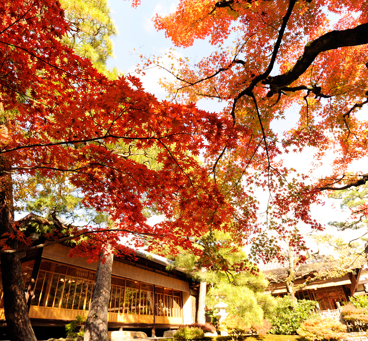 top-img-h23autumn-03