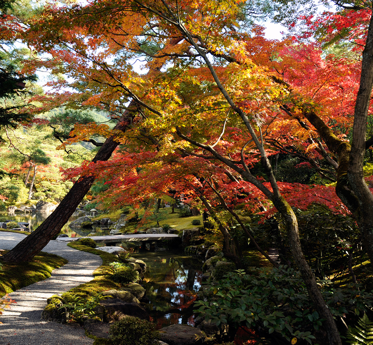 top-img-h23autumn-04