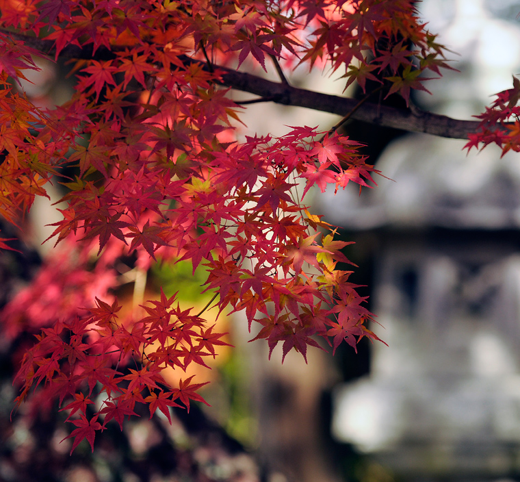 top-img-h23autumn-06