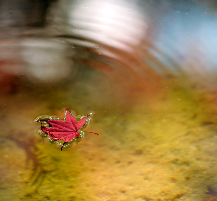 top-img-h23autumn-07