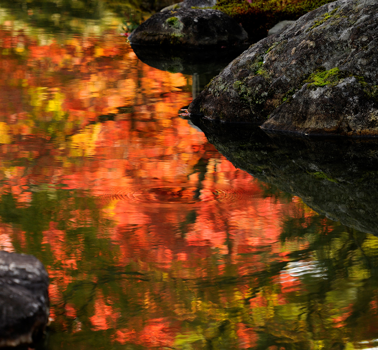 top-img-h23autumn-09
